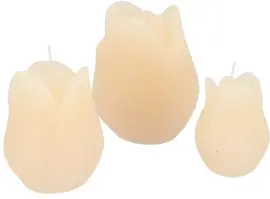 Daan Kromhout Design kaars tulp 10x13cm ivoor  - afbeelding 3