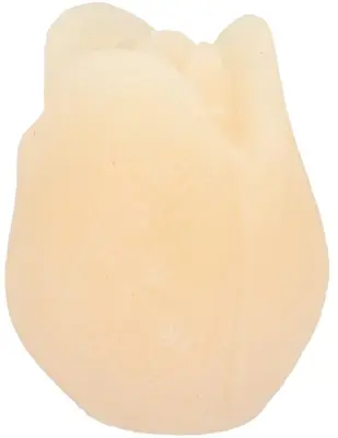 Daan Kromhout Design kaars tulp 10x13cm ivoor  - afbeelding 1