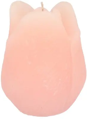 Daan Kromhout Design kaars tulp 10x13cm witroze kopen? - tuincentrum