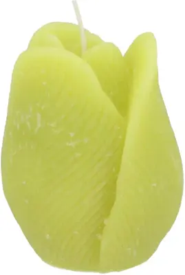 Daan Kromhout Design kaars tulp 7x8cm groen  - afbeelding 1