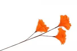 Daan Kromhout Design kunsttak bloem 80cm oranje - afbeelding 1