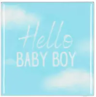 Daan Kromhout Design tegeltje keramiek hello baby boy 10x10cm blue kopen?