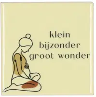 Daan Kromhout Design tegeltje keramiek klein bijzonder groot wonder 10x10cm beige kopen?