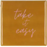Daan Kromhout Design tegeltje keramiek take it easy 10x10cm brown kopen?