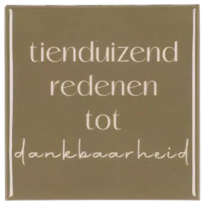 Daan Kromhout Design tegeltje keramiek tienduizend redenen 10x10cm brown
