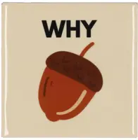 Daan Kromhout Design tegeltje keramiek why nut 10x10cm beige kopen?