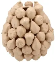 Daan Kromhout Design vaas aardewerk forest fruit 15x16cm zand kopen?