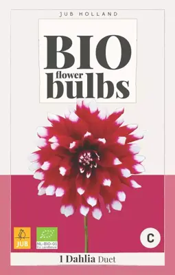 Dahlia bio duet 1 stuks - afbeelding 1
