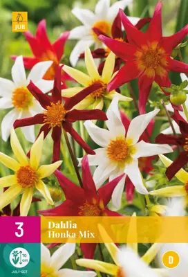 Dahlia honka mix 3 stuks - afbeelding 1