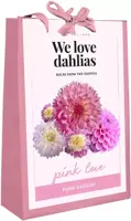 Dahlia pink love 4 stuks - afbeelding 1