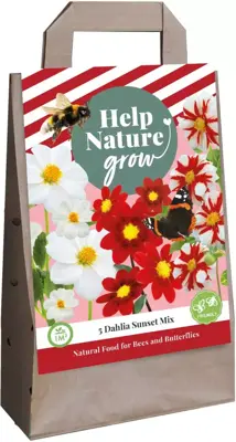 Dahlias sunset mix 5 stuks - afbeelding 1