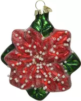 Decoris glazen kerst ornament kerstster 11cm rood, groen  kopen?
