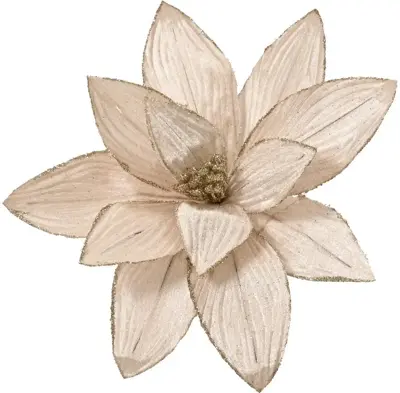 Decoris kunstbloem poinsettia op clip 30cm champagne - afbeelding 1