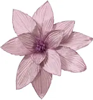 Decoris kunstbloem poinsettia op clip 30cm lila kopen?