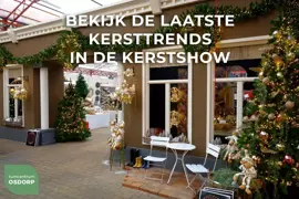 Decoris natuurlijk kerst ornament dennenappels 20cm bruin - afbeelding 2