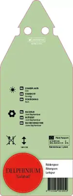 Delphinium (P) Galahad (Ridderspoor) - afbeelding 2