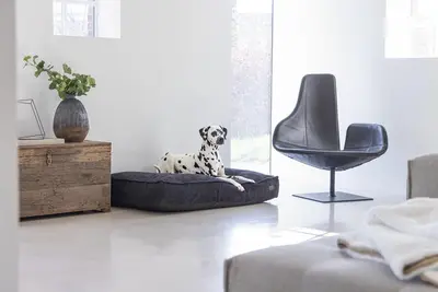 Designed by Lotte geribbeld hondenkussen antraciet 120 x 80 x 15cm - afbeelding 4