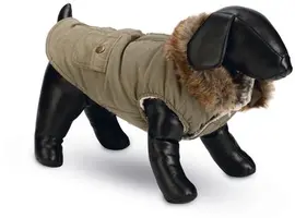 Designed by Lotte hondenjas Philos polyester XL 36cm groen kopen?