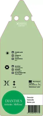 Dianthus Deltoides Albiflorus (Steenanjer) - afbeelding 2