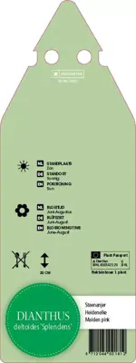 Dianthus Deltoides Splendens (Steenanjer) - afbeelding 2