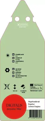 Digitalis Purpurea Alba (Vingerhoedskruid) - afbeelding 2