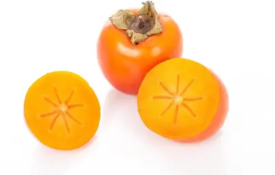 Diospyros kaki (Kaki) - afbeelding 11