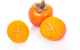Diospyros kaki (Kaki) - afbeelding 11