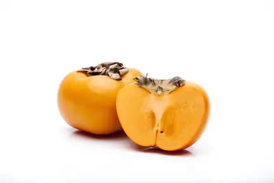 Diospyros kaki (Kaki) - afbeelding 5