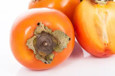Diospyros kaki (Kaki) - afbeelding 10