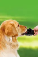 Draagbare drinkfles met karabijnhaak aluminium, 600 ml. - afbeelding 4