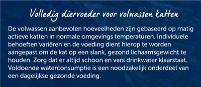 Droog sensations vis 4kg - afbeelding 1