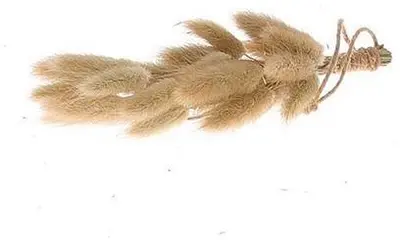 Droogbloem langurus 20cm naturel