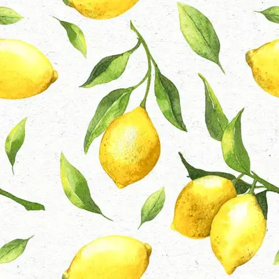 Duni 3-laags tissue servet citrus 24x24cm multi 20 stuks