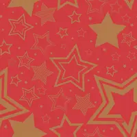 Duni 3-laags tissue servet holiday star 33x33cm rood 20 stuks