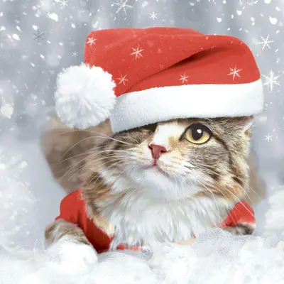 Duni 3-laags tissue servet kitten christmas 33x33cm multi 20 stuks