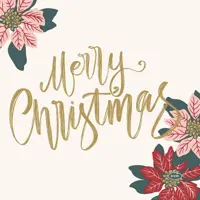 Duni 3-laags tissue servet merry xmas berries 33x33cm wit 20 stuks kopen?