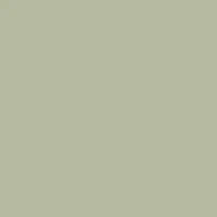 Duni 3-laags tissue servet pistachio green 33x33cm   - afbeelding 1