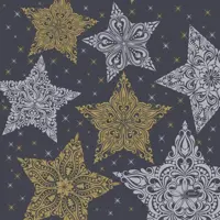 Duni 3-laags tissue servet snowstars black 33x33cm zwart 20 stuks kopen?
