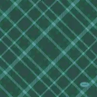 Duni 3-laags tissue servet tartan 24x24cm groen 20 stuks - afbeelding 1