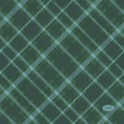 Duni 3-laags tissue servet tartan 24x24cm groen 20 stuks - afbeelding 2