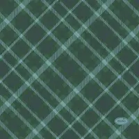 Duni 3-laags tissue servet tartan 24x24cm groen 20 stuks - afbeelding 2