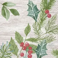 Duni 3-laags tissue servet winter greenery 24x24cm groen 20 stuks