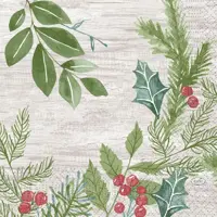 Duni 3-laags tissue servet winter greenery 33x33cm groen 20 stuks kopen?