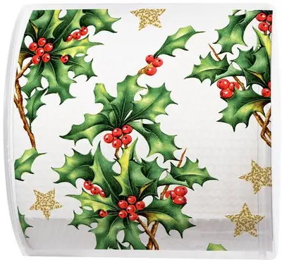 Duni 3-laags tissue toiletpapier holly all over 22m multi