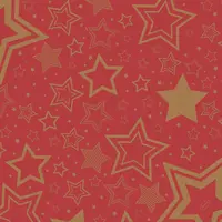 Duni bio dunisoft servet holiday star 40x40cm rood 12 stuks