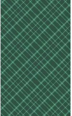 Duni dunicel tafelkleed tartan 138x220cm groen 1 stuks
