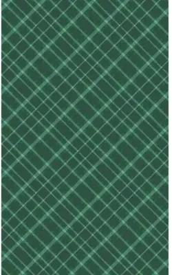 Duni dunicel tafelkleed tartan 138x220cm groen 1 stuks