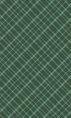 Duni dunicel tafelkleed tartan 138x220cm groen 1 stuks - afbeelding 2