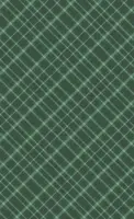 Duni dunicel tafelkleed tartan 138x220cm groen 1 stuks - afbeelding 2