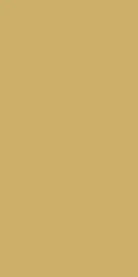 Duni dunisilk tafelkleed 138x220cm goud 1 stuks